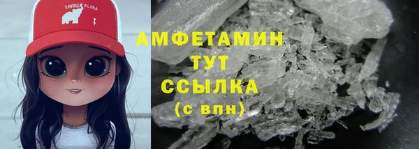 стаф Богданович