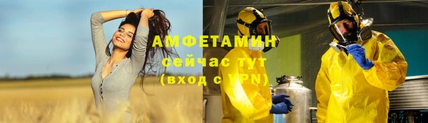 стаф Богданович