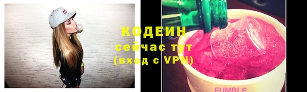 стаф Богданович