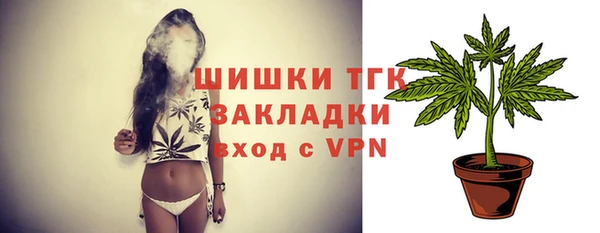 стаф Богданович