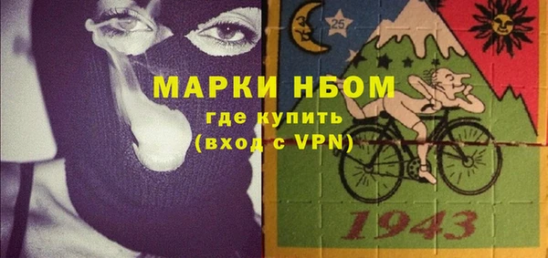 стаф Богданович