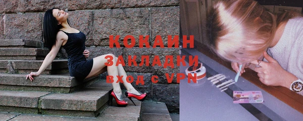 стаф Богданович