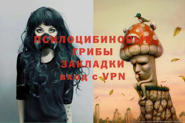 мяу мяу мука Богородицк