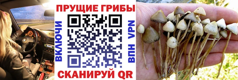 мега ССЫЛКА  Подольск  Галлюциногенные грибы ЛСД 